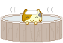 Bathing Cat