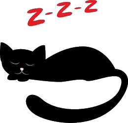Black Cat
